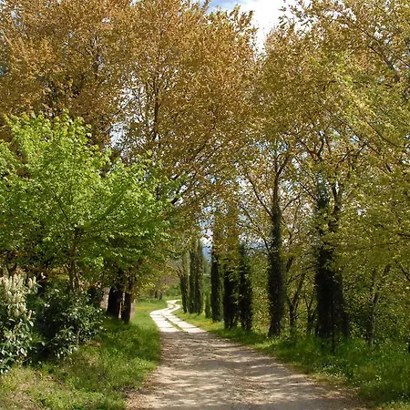 Agriturismo Fonte Abellana 农家乐 *